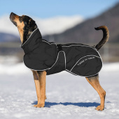 Manteau d’hiver pour chien Bay High Tail Noir Manteau d’hiver pour chien Bay High Tail Noir