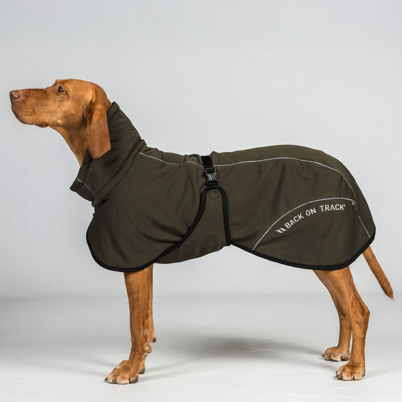 Manteau en mesh pour chien Bay Low Tail Vert olive