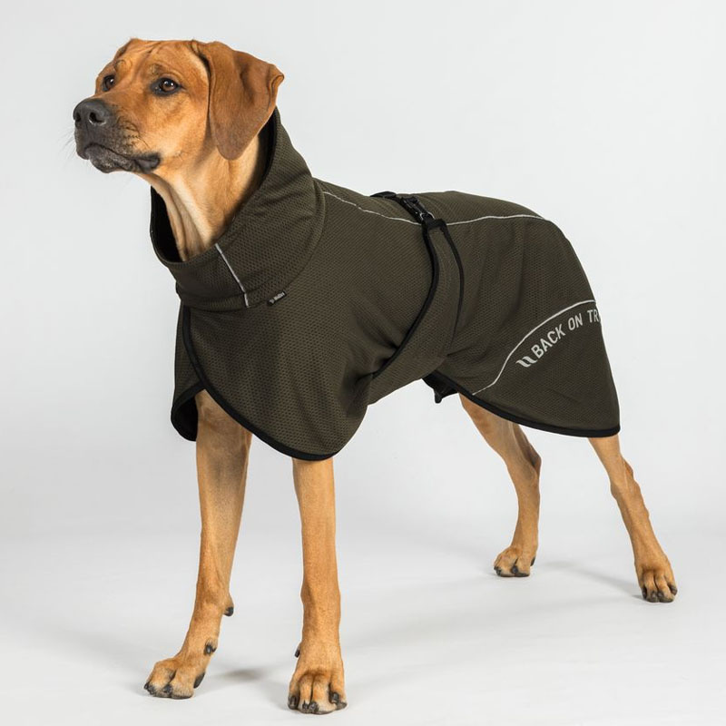 Manteau en mesh pour chien Bay Low Tail Vert olive