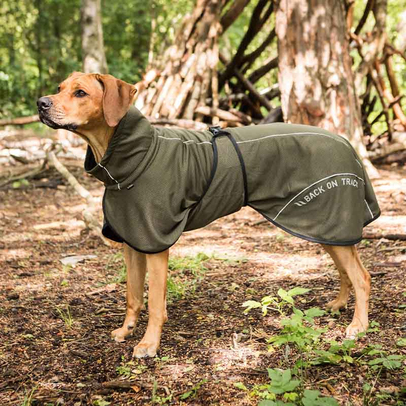 Manteau en mesh pour chien Bay Low Tail Vert olive