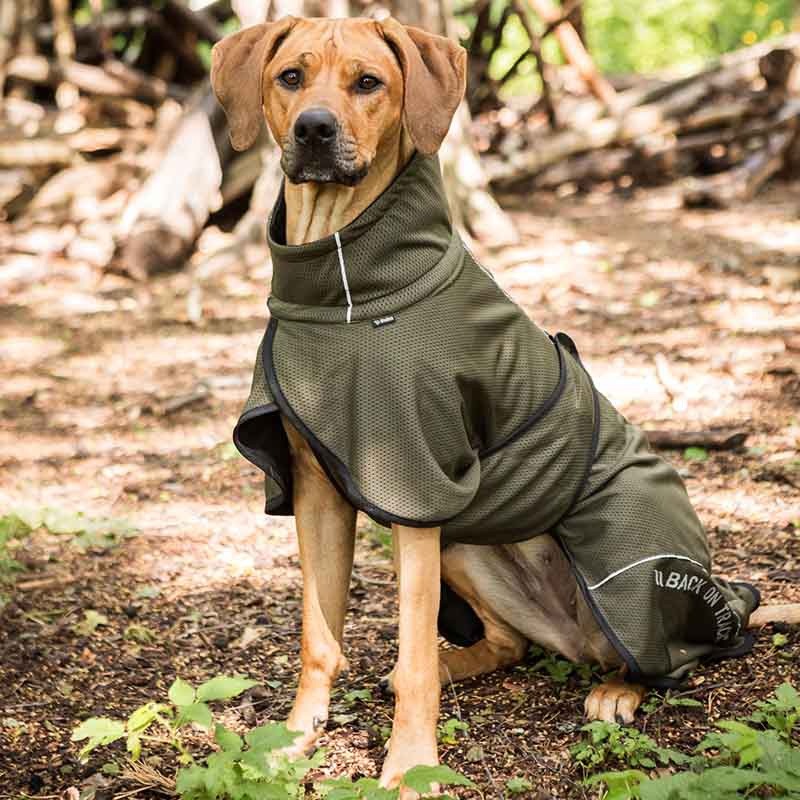 Manteau en mesh pour chien Bay Low Tail Vert olive