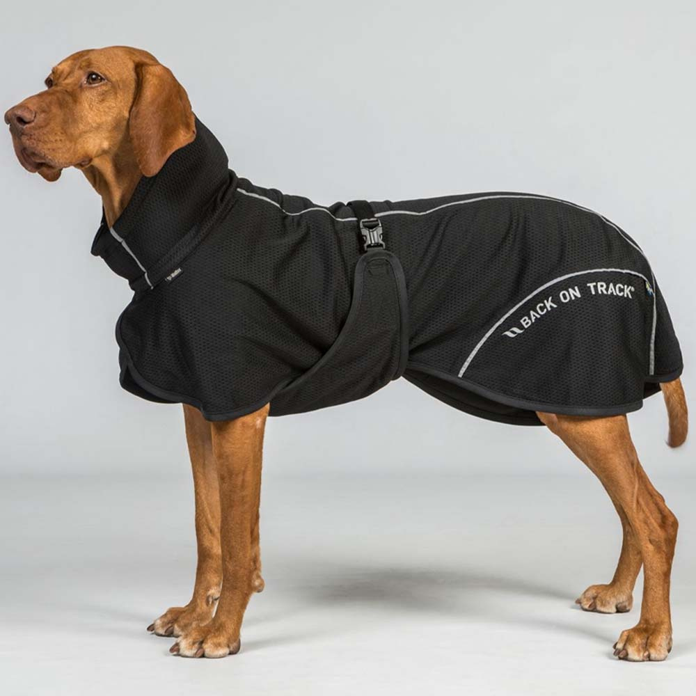 Manteau en mesh pour chien Bay Low Tail Noir