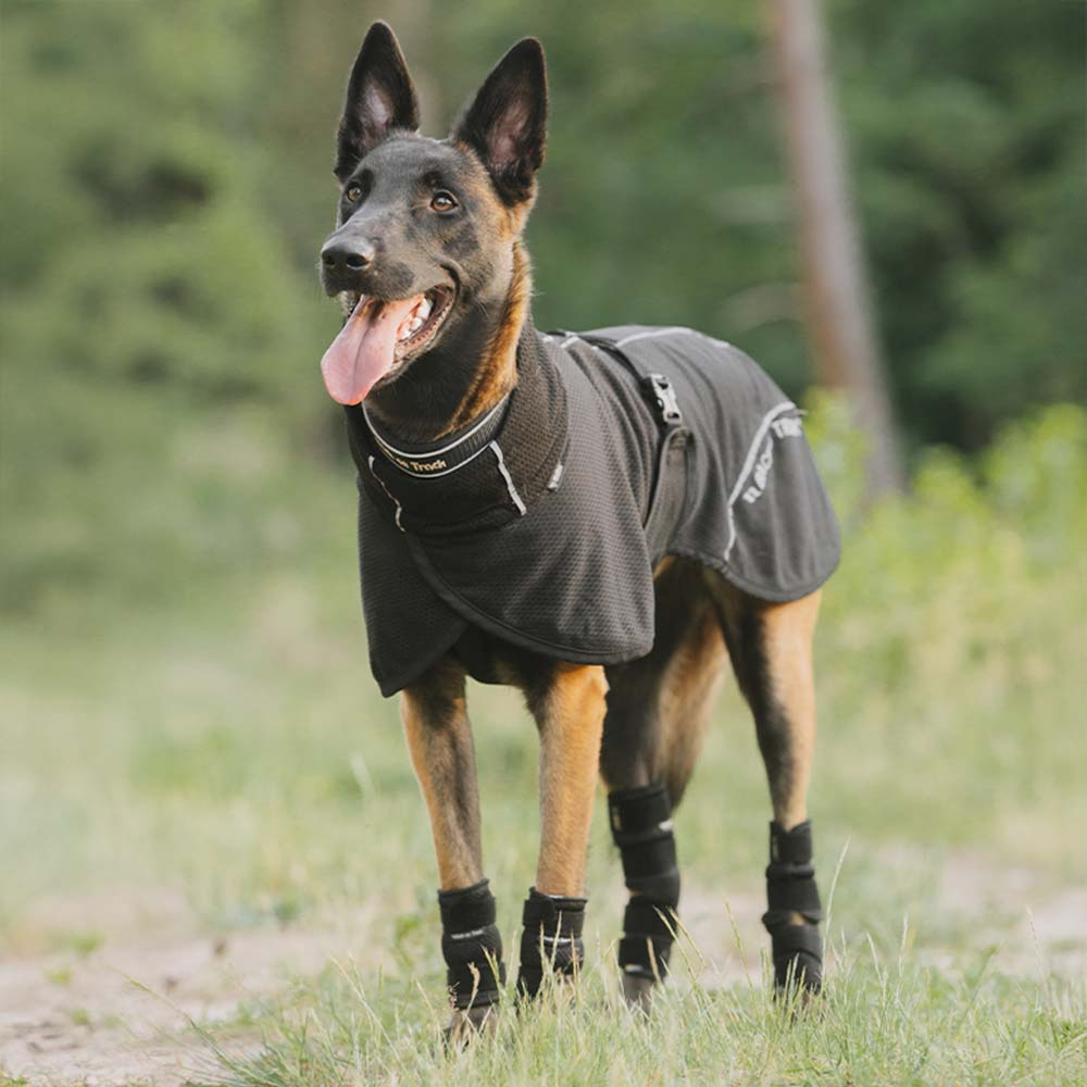 Manteau en mesh pour chien Bay Low Tail Noir
