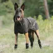 Manteau en mesh pour chien Bay Low Tail Noir Manteau en mesh pour chien Bay Low Tail Noir