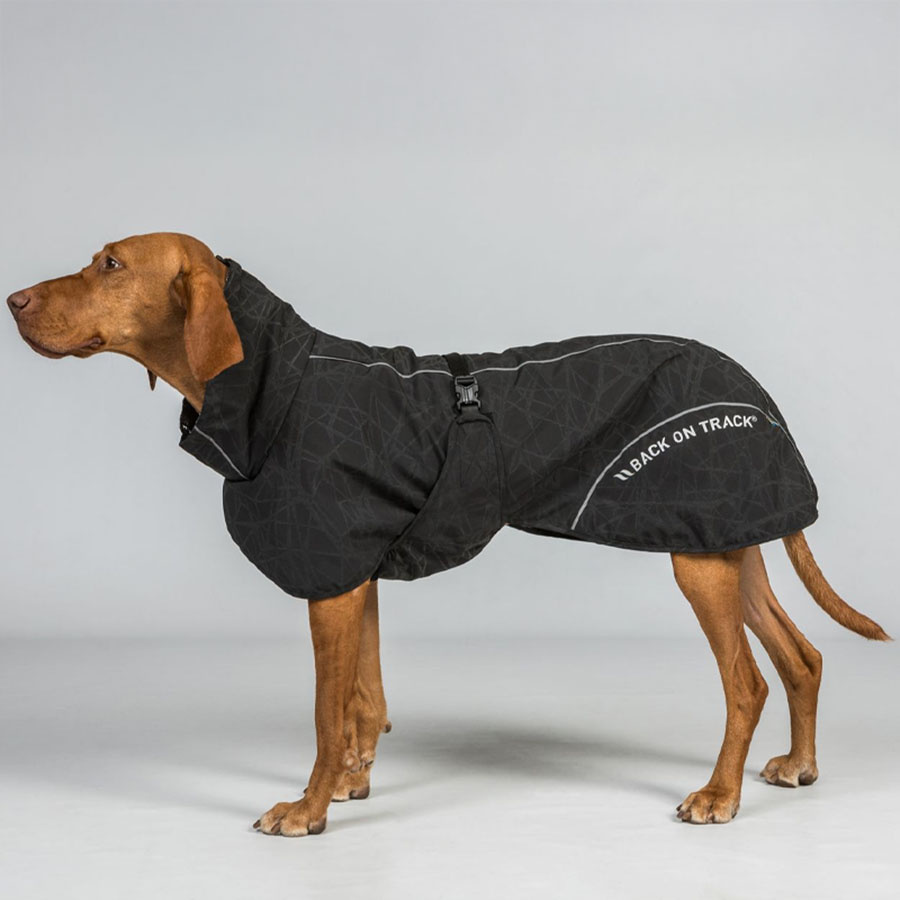 Manteau de pluie pour chien Bay Low Tail Noir