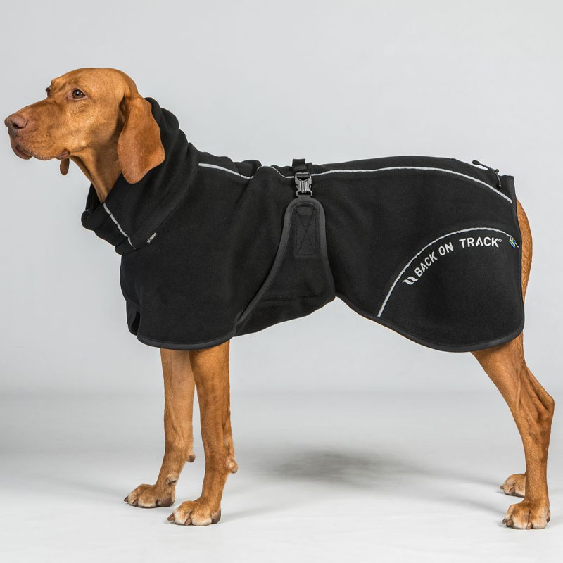 Manteau polaire pour chien Bay High Tail Noir
