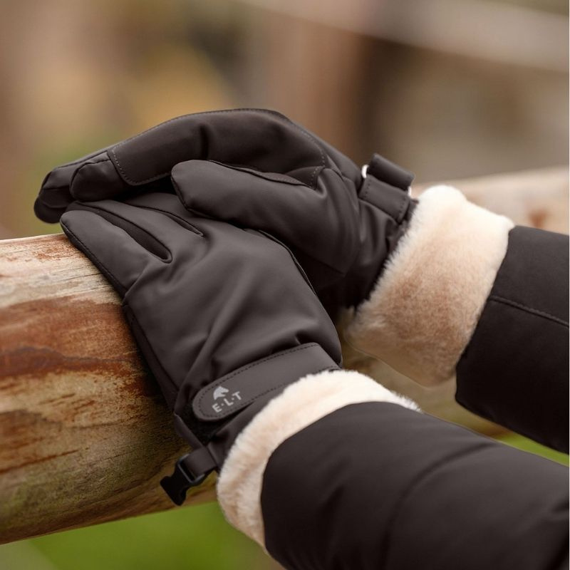 Gants d'équitation d'hiver St. Moritz Marron