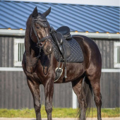 Tapis de selle dressage Glitter Collection Noir Tapis de selle dressage Glitter Collection Noir