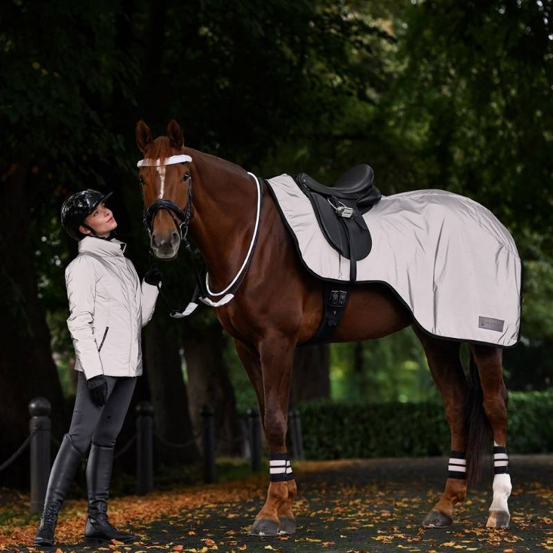 Veste d'équitation Reflective Gris