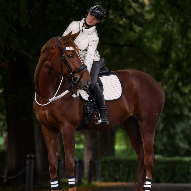 Veste d'équitation Reflective Gris