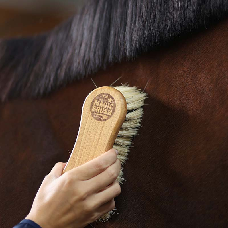 Brosse Combinée Crin/Fibre