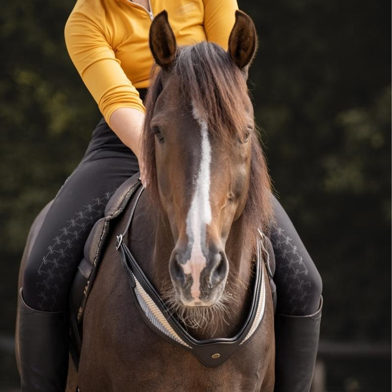 Cordelette d'encolure Cuir Whisper NH Noir
