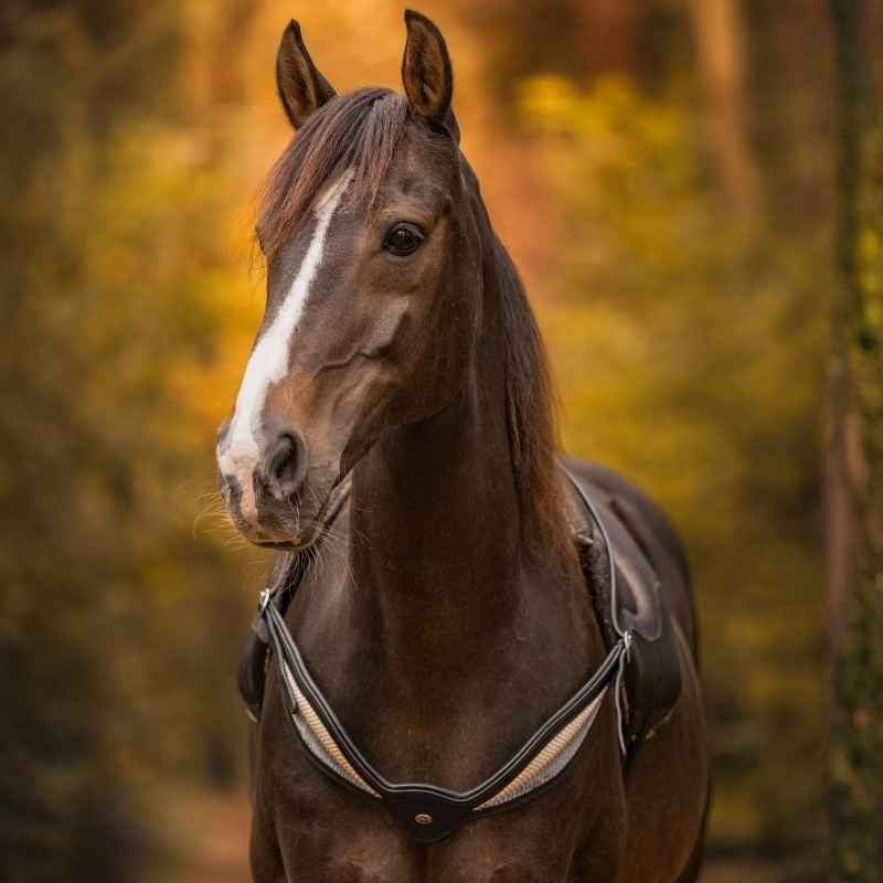 Cordelette d'encolure Cuir Whisper NH Noir