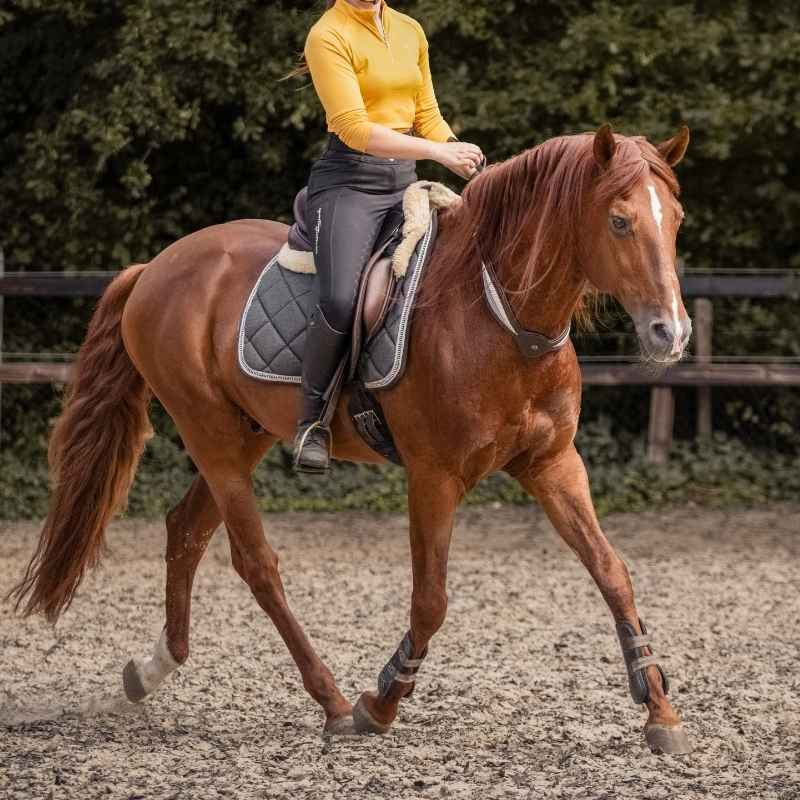 Cordelette d'encolure Cuir Whisper NH Marron