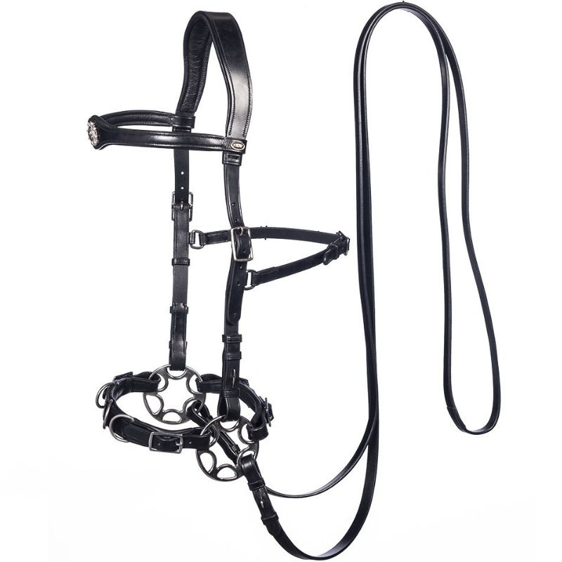 Bridon sans mors Caval Cavemore Noir