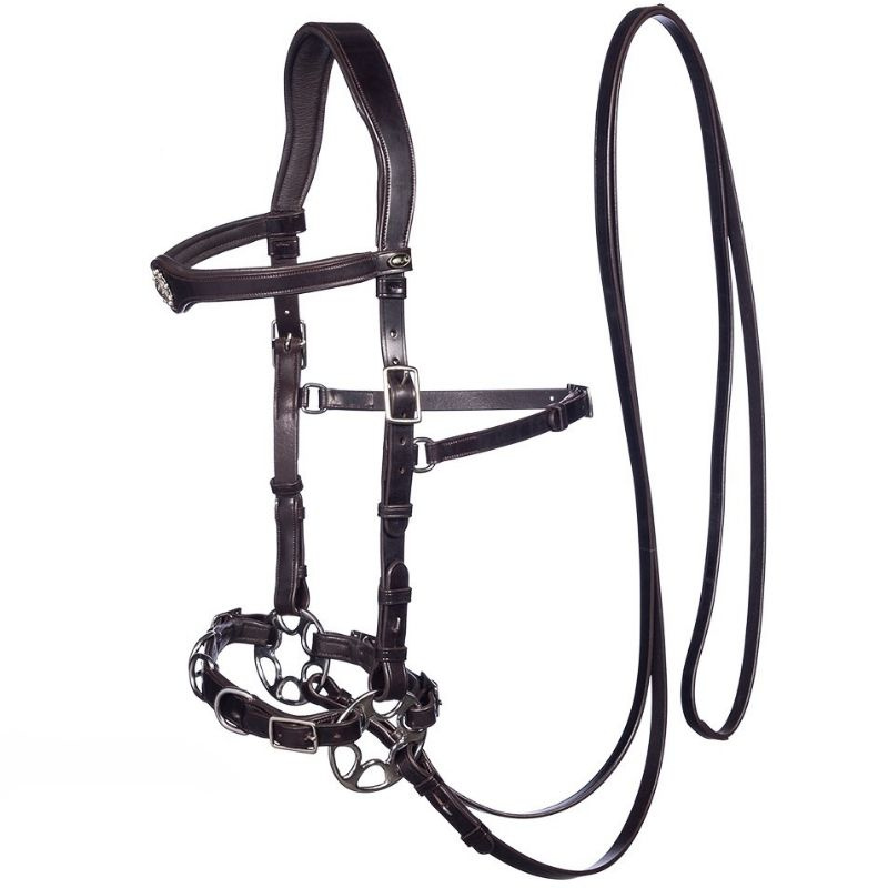 Bridon sans mors Caval Cavemore Marron