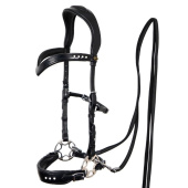 Bride hackamore Glory Noir Bride hackamore Glory Noir