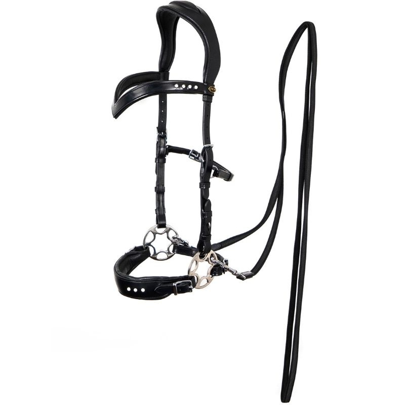 Bride hackamore Glory Noir