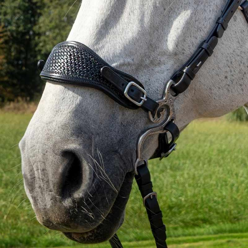 Bride hackamore Fiore Noir