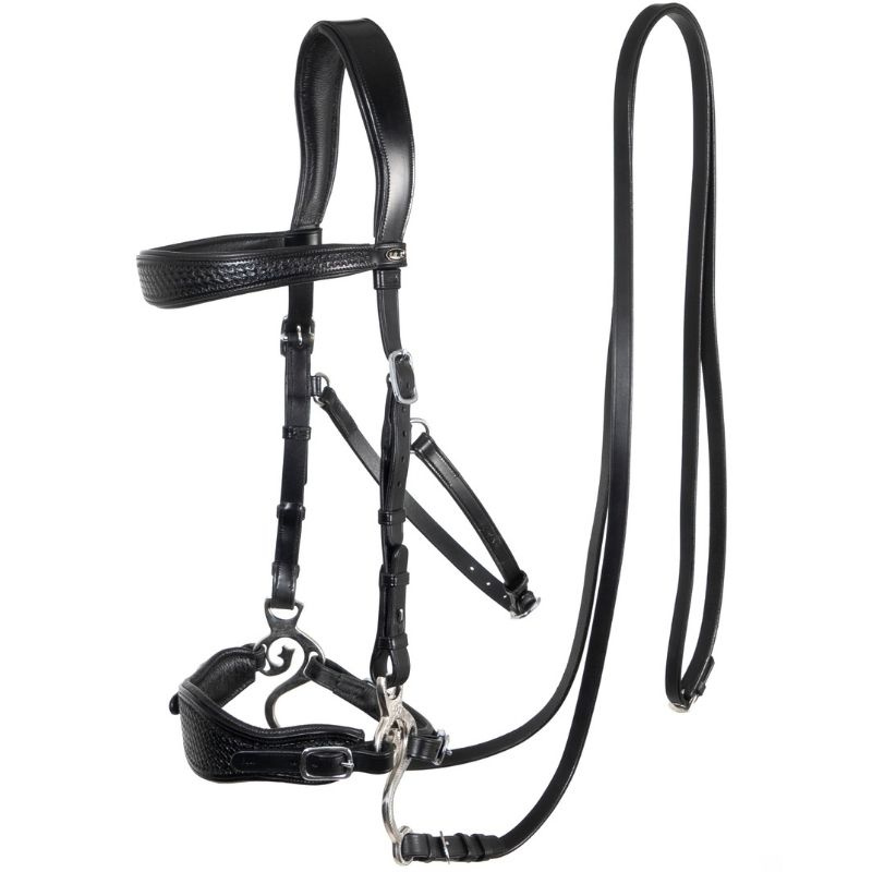 Bride hackamore Fiore Noir