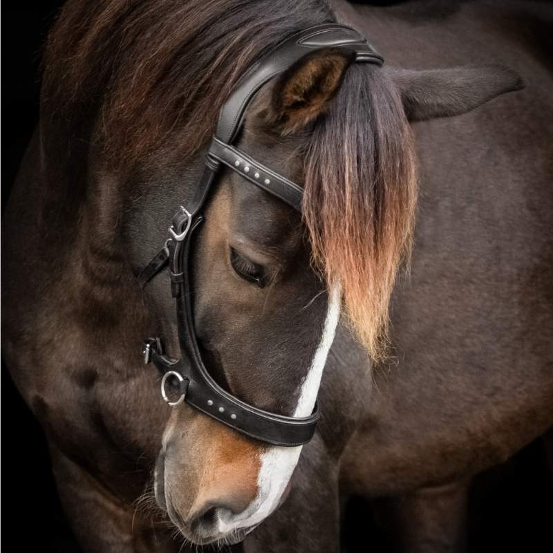 Bridon sans mors Glory Sidepull Noir