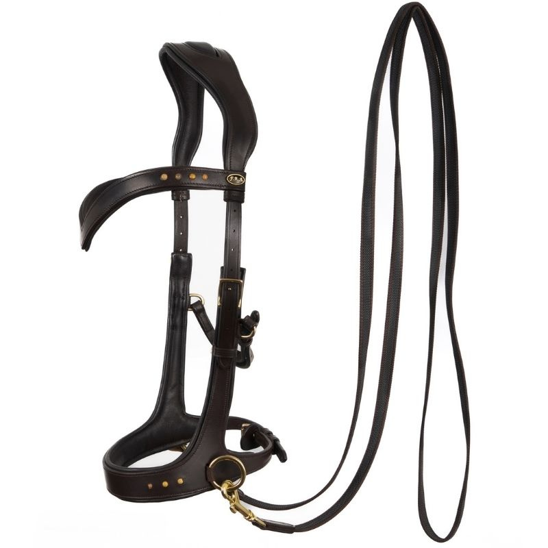 Bridon sans mors Glory Sidepull Marron