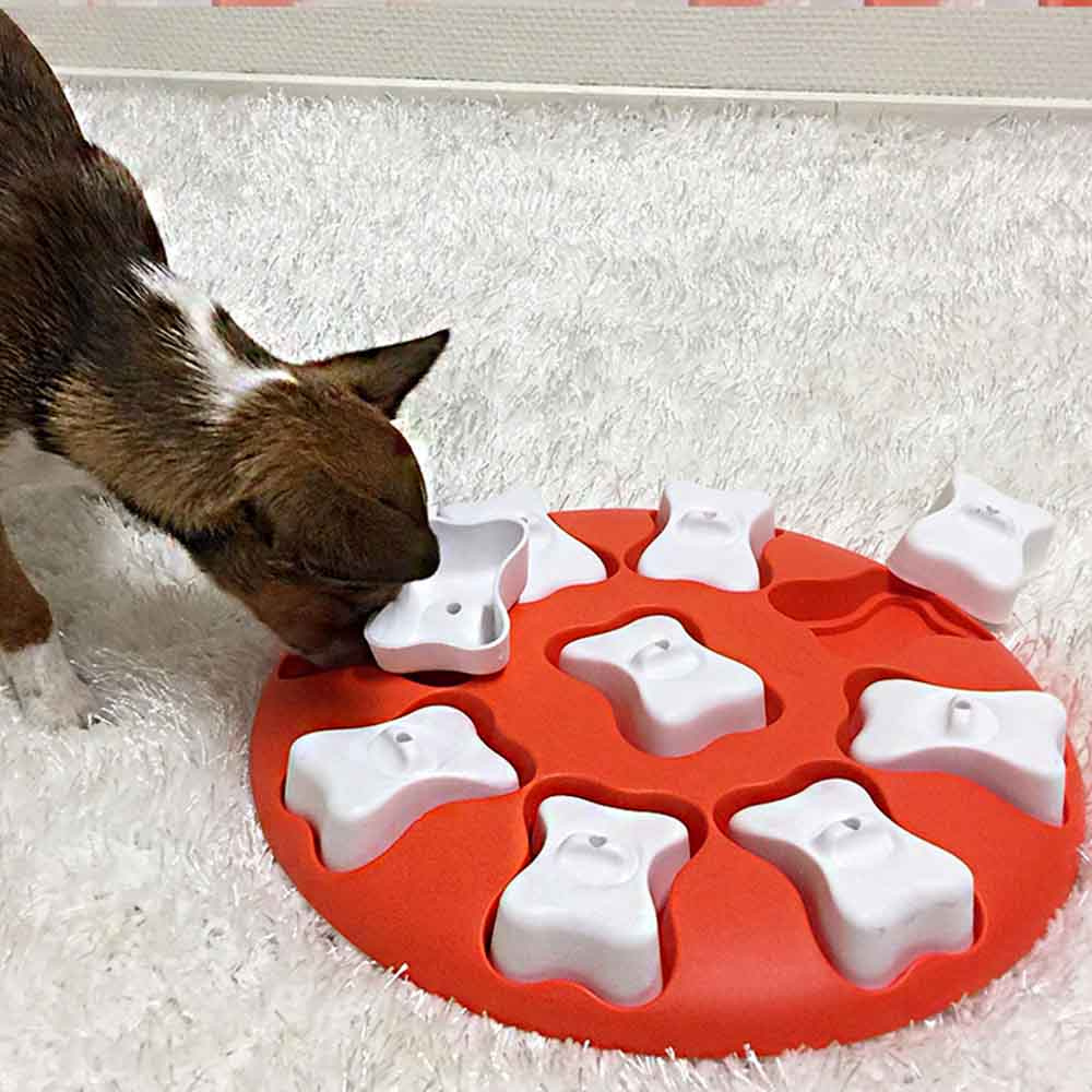 Jouet d'activation Dog Smart Rouge/Blanc