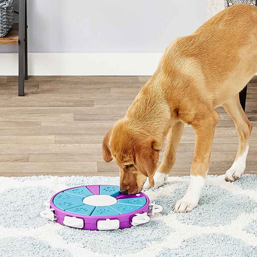 Jouet d'activation Twister pour chien Violet/Turquoise/Blanc