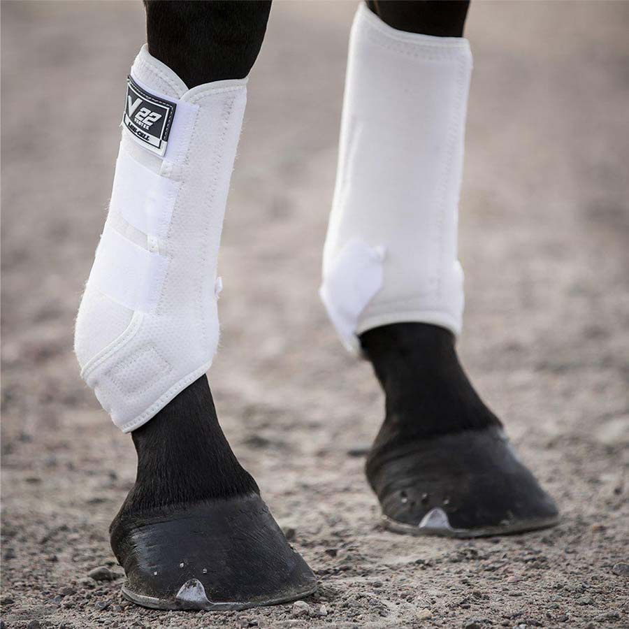 Guêtres de dressage V22 Blanc