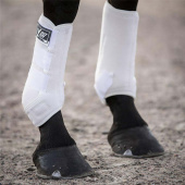 Guêtres de dressage V22 Blanc Guêtres de dressage V22 Blanc