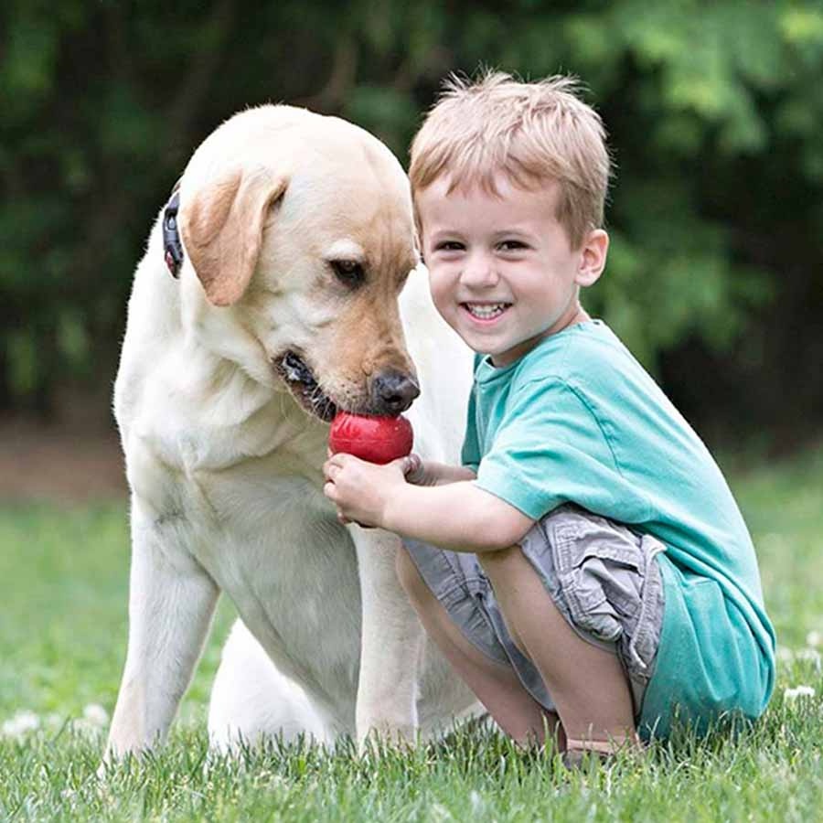 Jouet pour chien KONG Classic Small Rouge