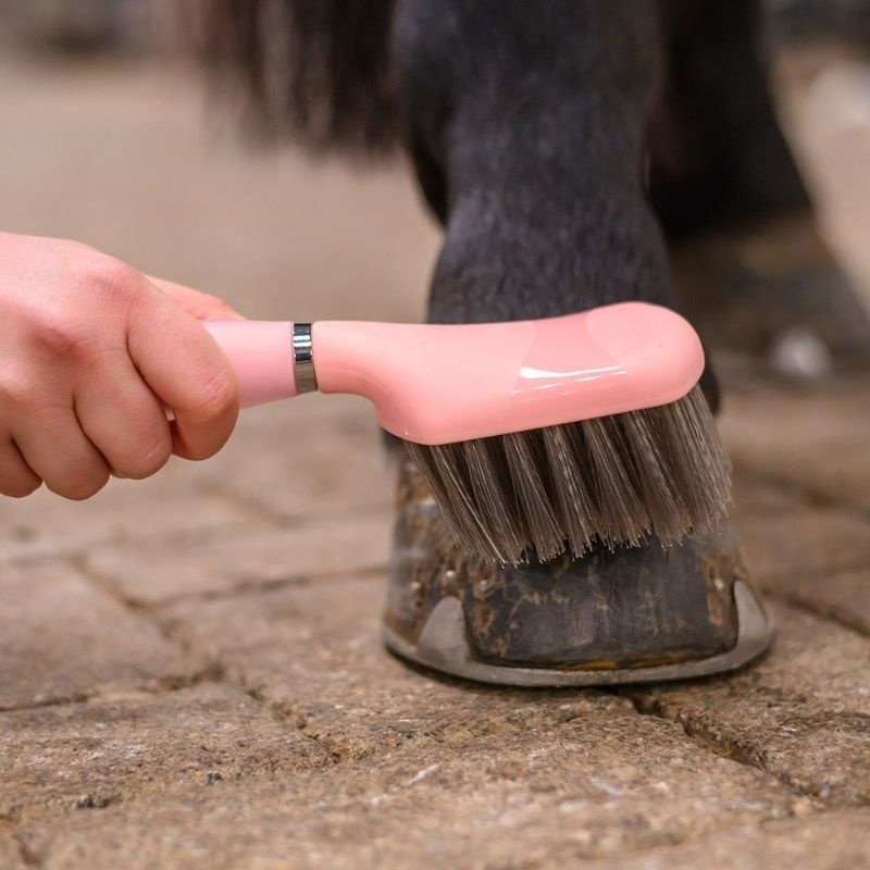 Brosse à sabots Gel Rose