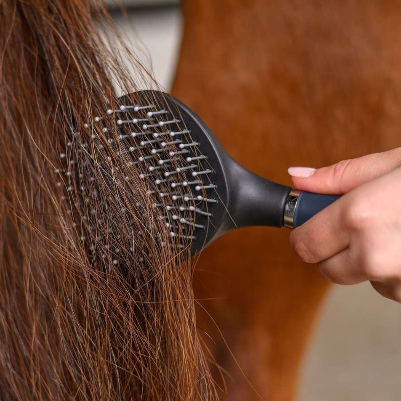 Brosse à crins Gel Noir