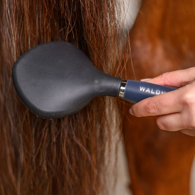 Brosse à crins Gel Noir