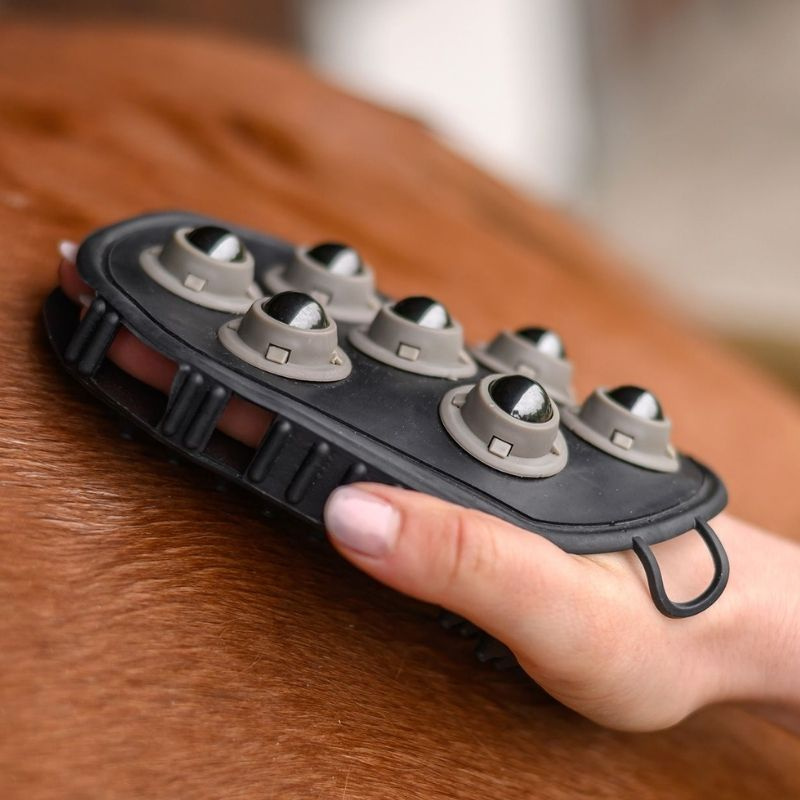 Brosse de pansage Massage Noir
