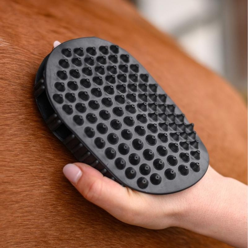 Brosse de pansage Massage Noir