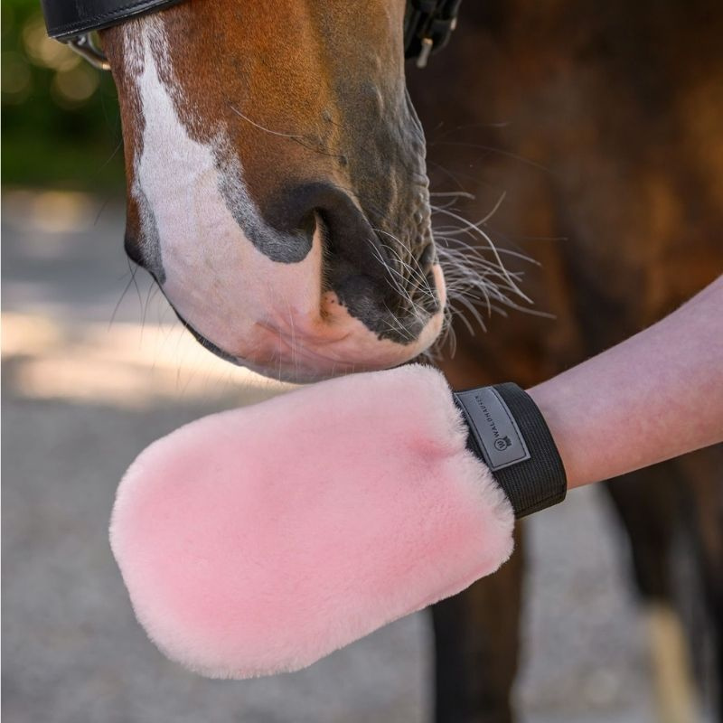 Gant de pansage Lucky Lambskin Rose