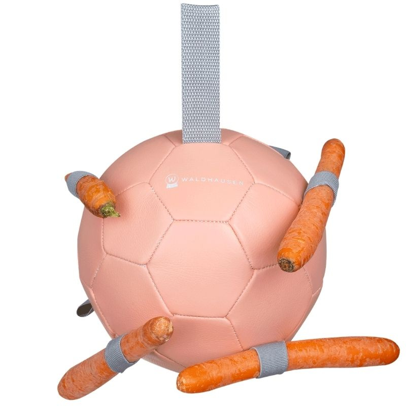 Jouet pour cheval Carrot Ball Rose