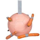 Jouet pour cheval Carrot Ball Rose Jouet pour cheval Carrot Ball Rose