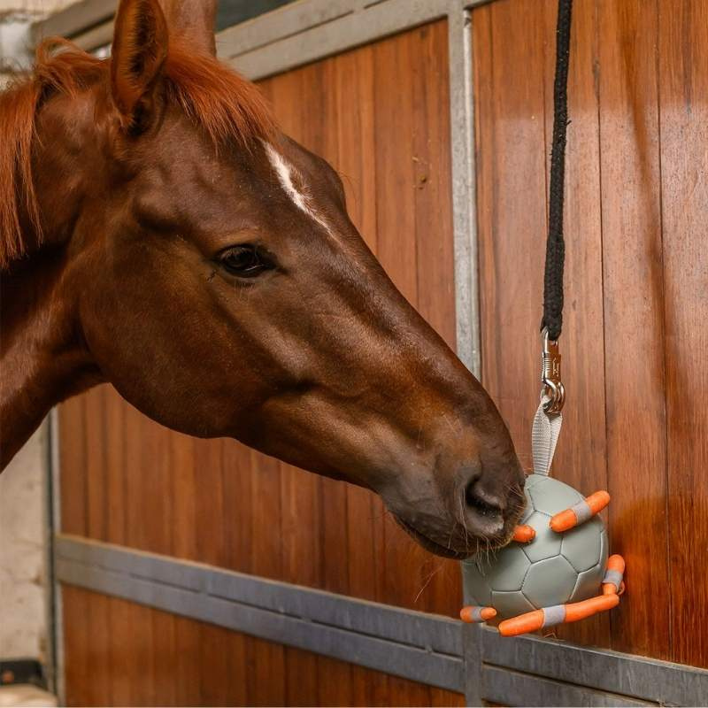 Jouet pour cheval Carrot Ball Vert