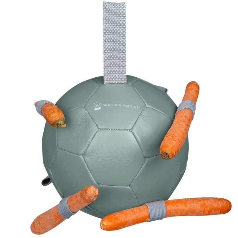 Jouet pour cheval Carrot Ball Vert