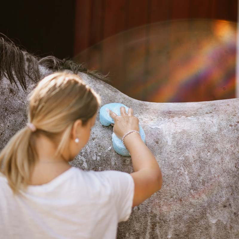 Éponge de Lavage en Cellulose Bleue