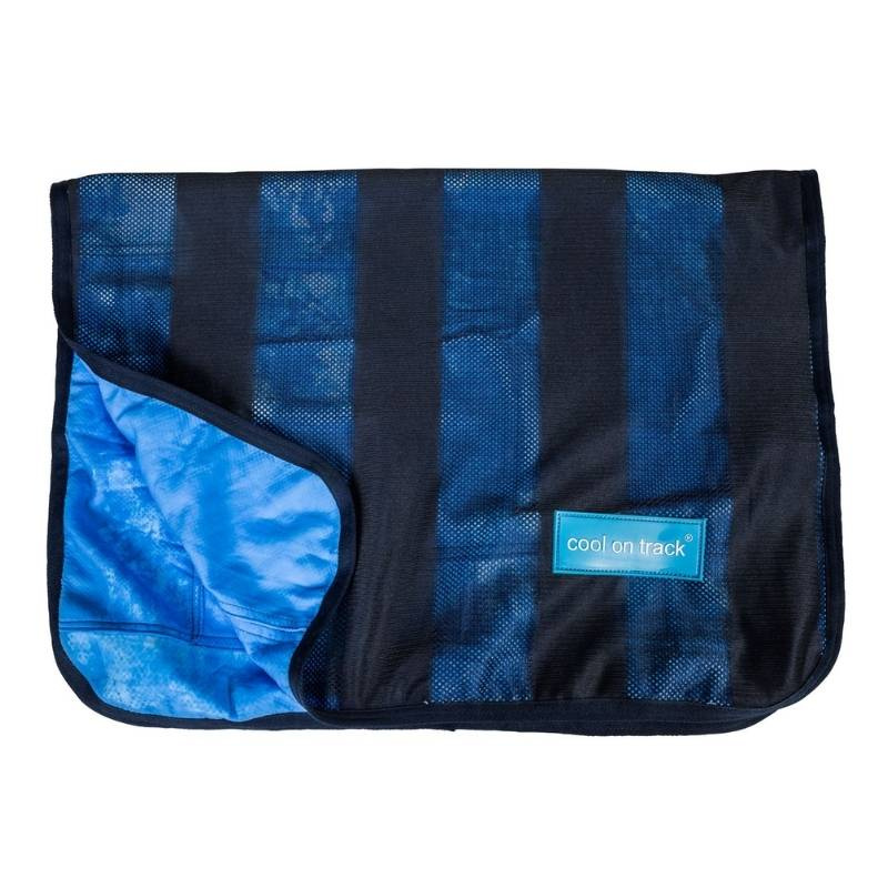 Serviette rafraîchissante Cool on Track Bleu