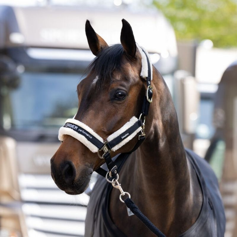 Licol Fauxfur Double Pin Noir