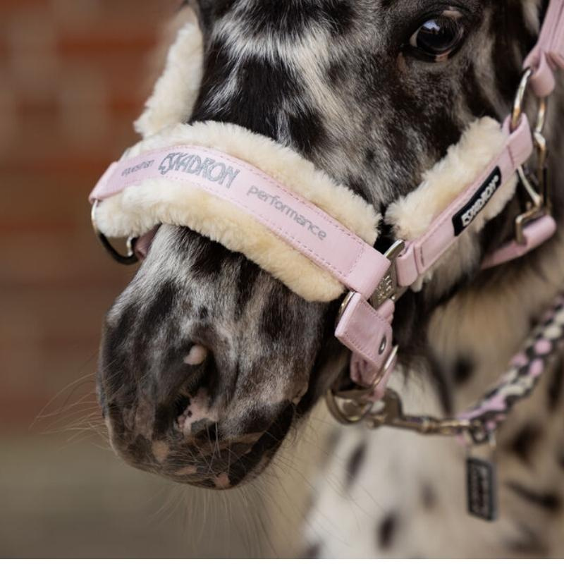 Licol Fauxfur Double Pin Rose