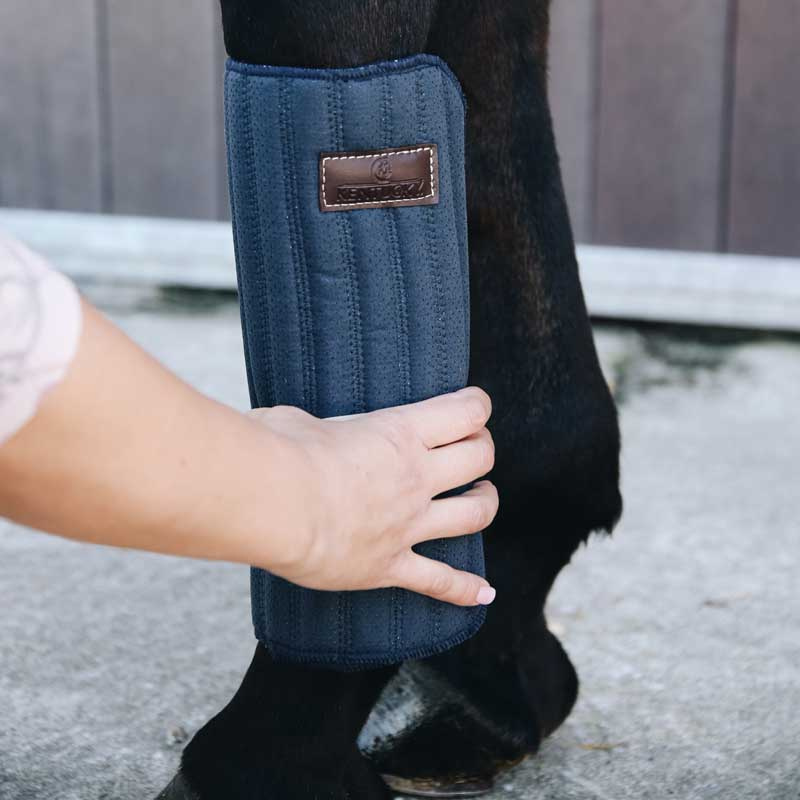 Protège-tapis absorbant 45 x 30 - 4-pack Bleu Marine