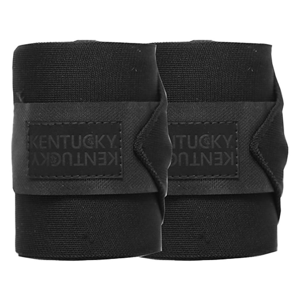 Bandages Repellent 2-pack Noir