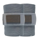 Bandages Repellent Working Gris Bandages Repellent Working Gris