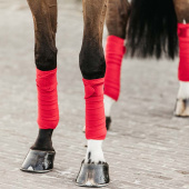 Bandages Polar Fleece Velvet Rouge Bandages Polar Fleece Velvet Rouge