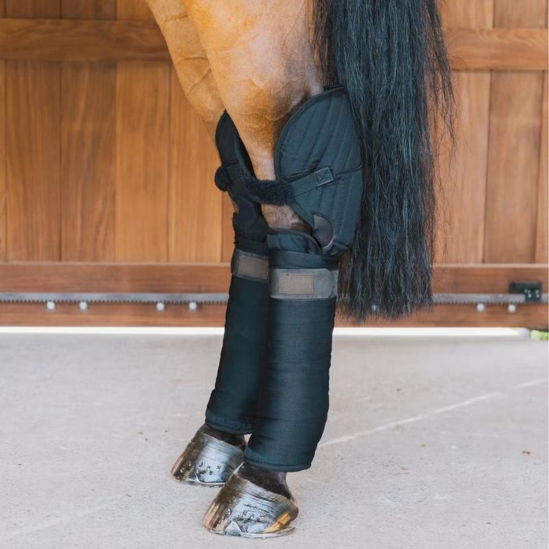 Protections de jambe Hock Transport Protection Noir